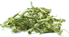  - βότανα / βότανα μαγειρικής