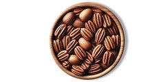 καρύδια πεκάν (pecan nuts) - ξηροί καρποί / ωμοί