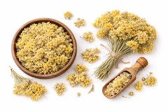 Ελίχρυσος - βότανα