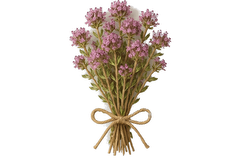 Θυμάρι μάτσο ελληνικό - βότανα / βότανα μαγειρικής