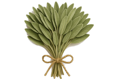 Φασκόμηλο μάτσο ελληνικό - βότανα / βότανα μαγειρικής